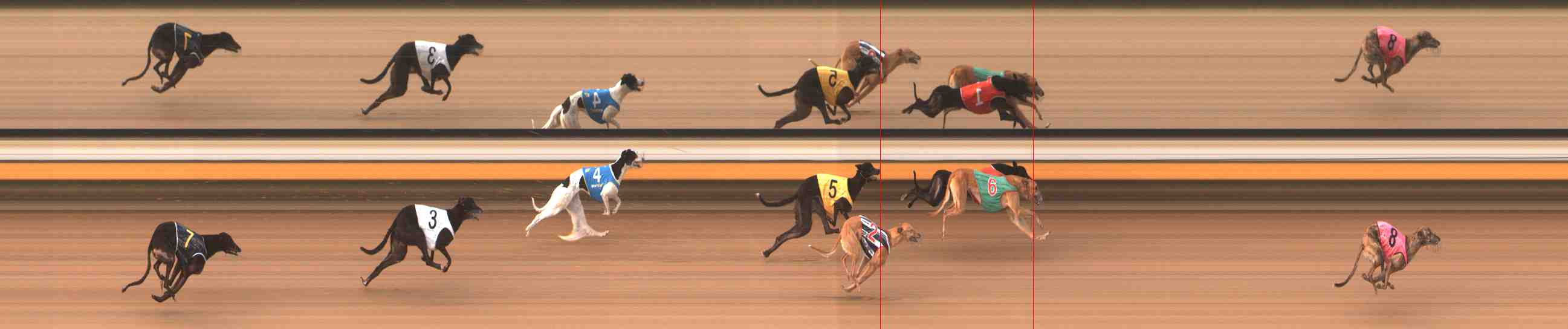 Photo finish for Warrnambool Race 5