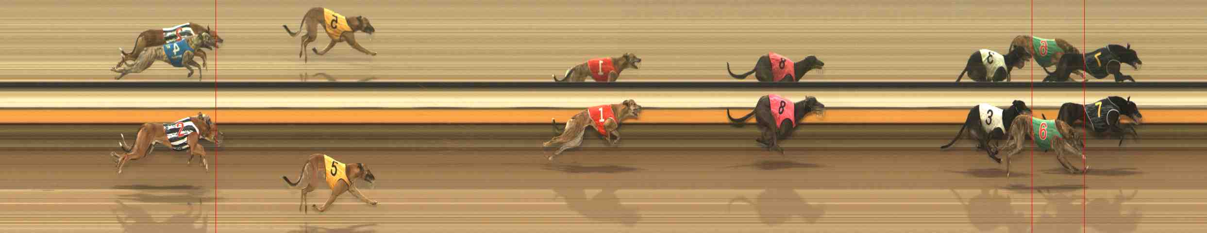 Photo finish for Warrnambool Race 6