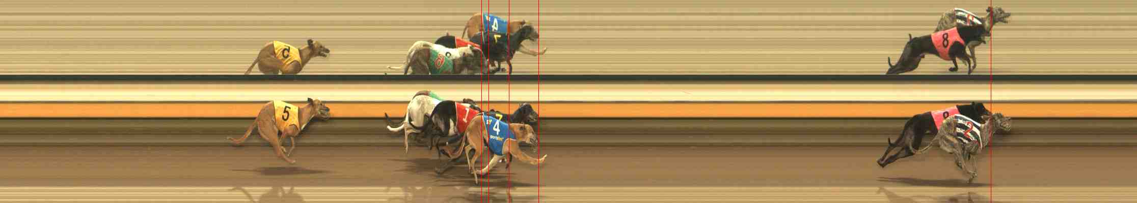 Photo finish for Warrnambool Race 7