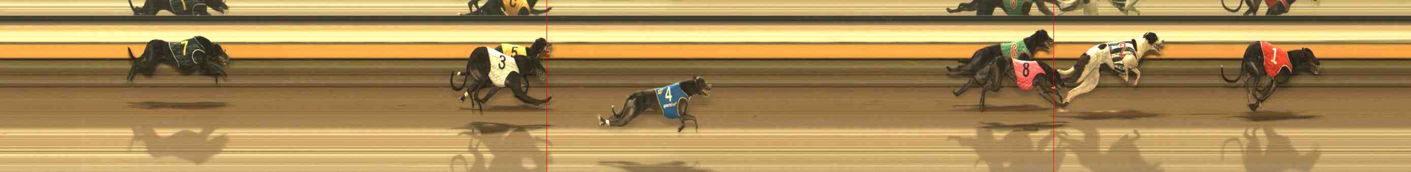 Photo finish for Warrnambool Race 8