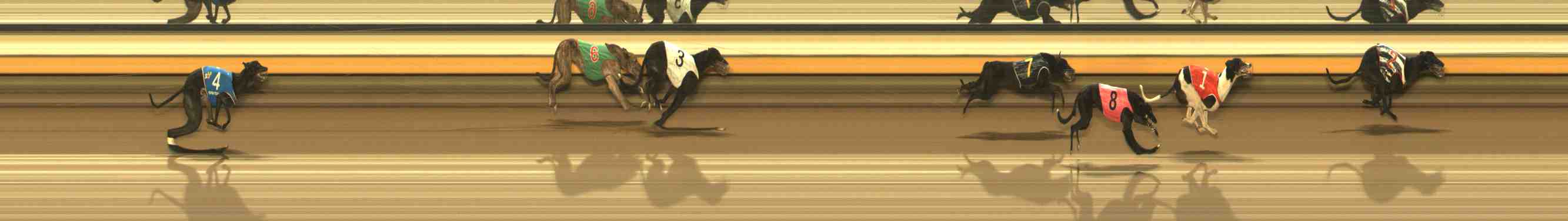 Photo finish for Warrnambool Race 9