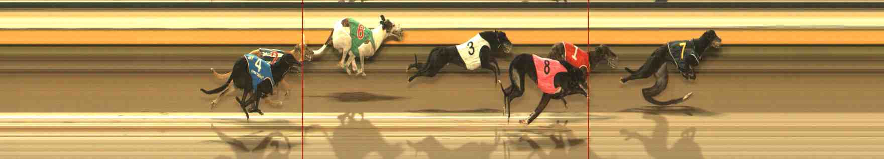 Photo finish for Warrnambool Race 10