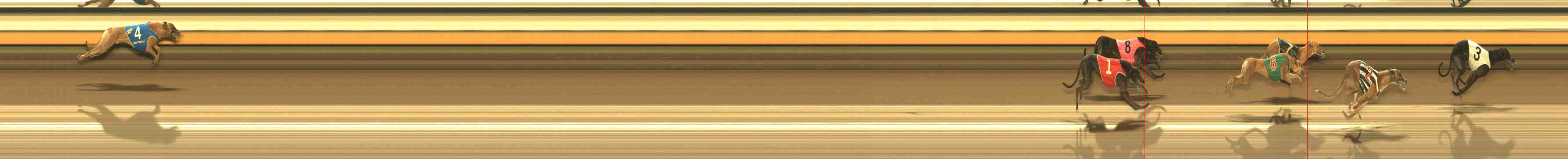 Photo finish for Warrnambool Race 11
