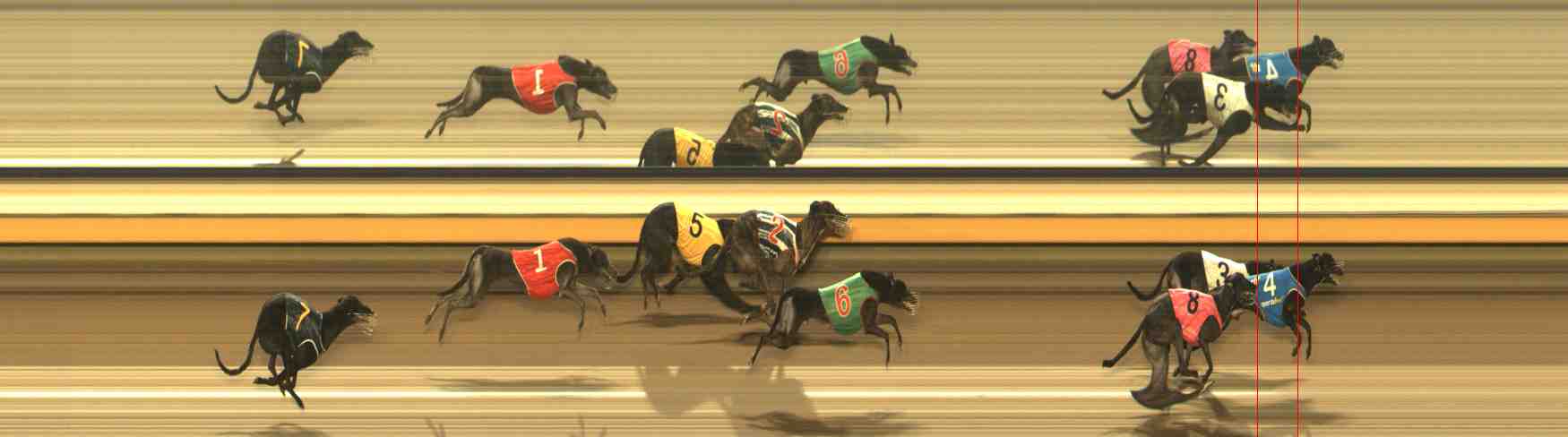 Photo finish for Warrnambool Race 12