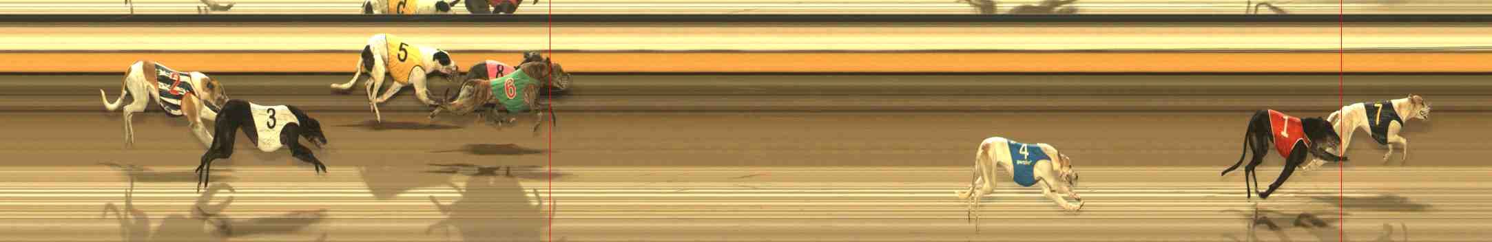 Photo finish for Warrnambool Race 13