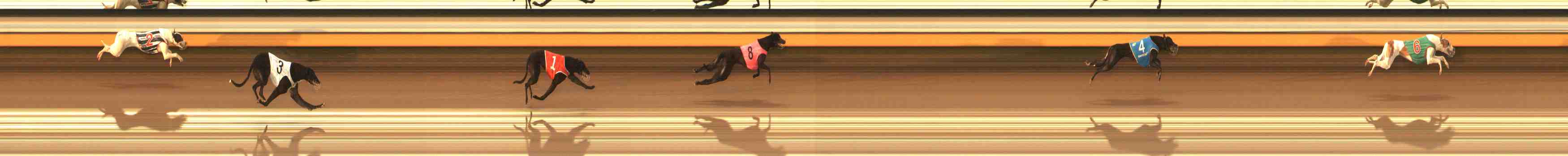 Photo finish for Warrnambool Race 1
