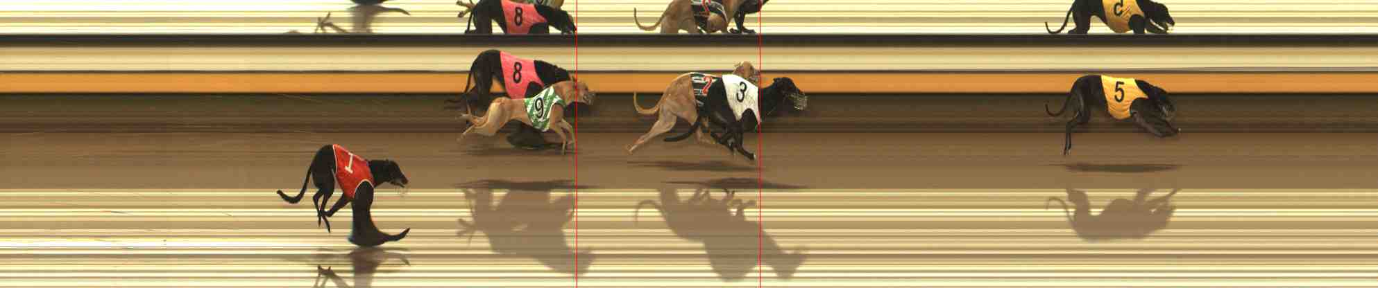 Photo finish for Warrnambool Race 2