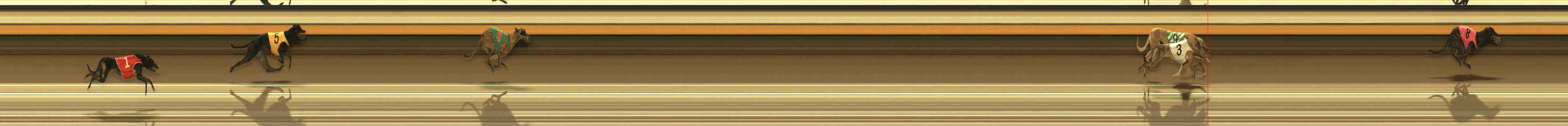 Photo finish for Warrnambool Race 3