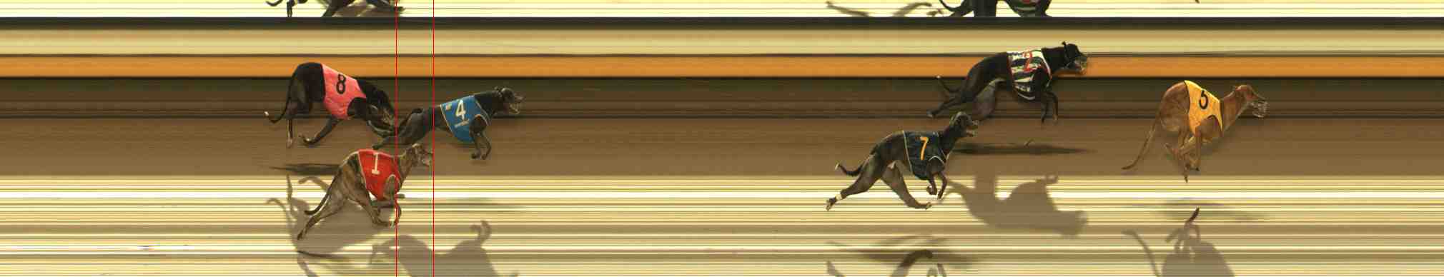 Photo finish for Warrnambool Race 4