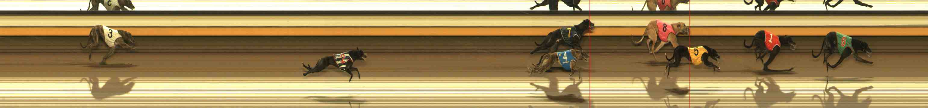 Photo finish for Warrnambool Race 5