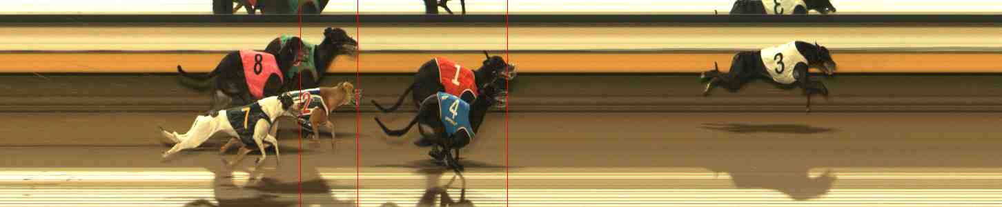 Photo finish for Warrnambool Race 6