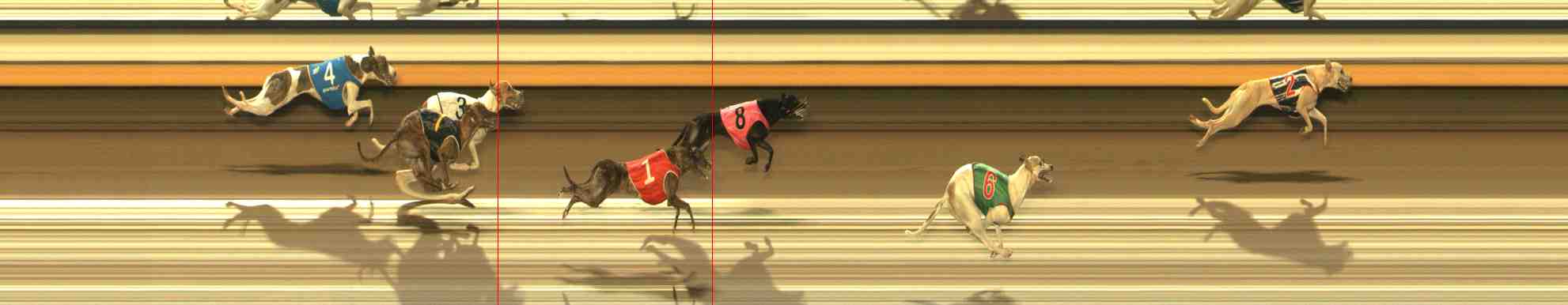 Photo finish for Warrnambool Race 7