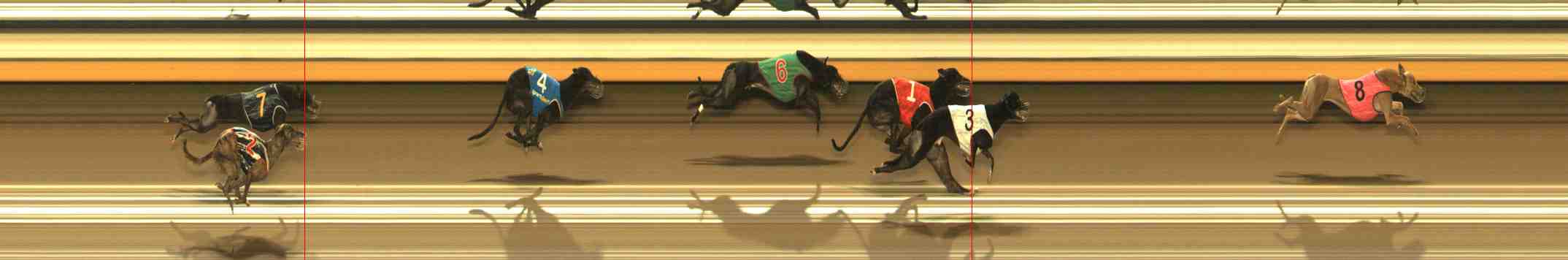 Photo finish for Warrnambool Race 8