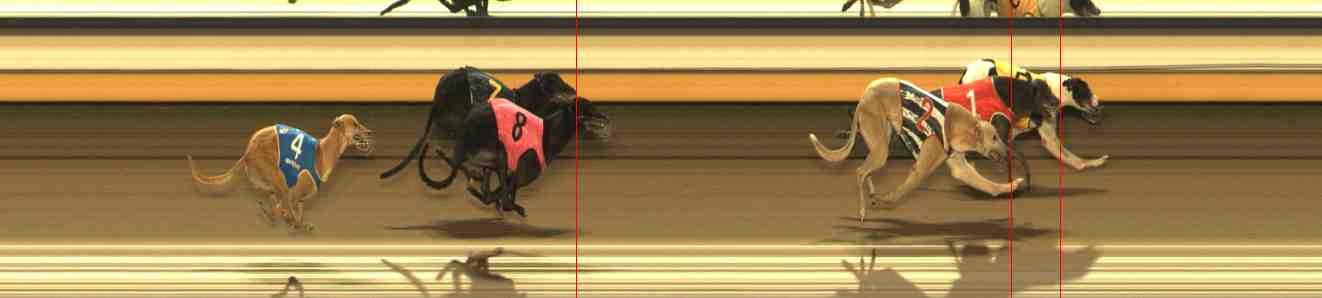 Photo finish for Warrnambool Race 9