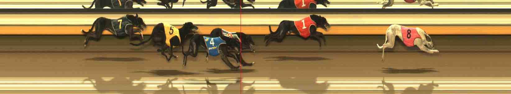 Photo finish for Warrnambool Race 10