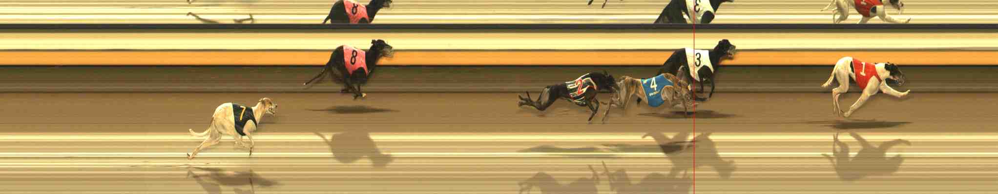Photo finish for Warrnambool Race 11