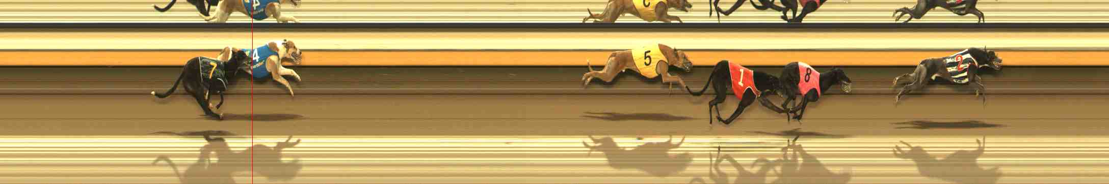 Photo finish for Warrnambool Race 12