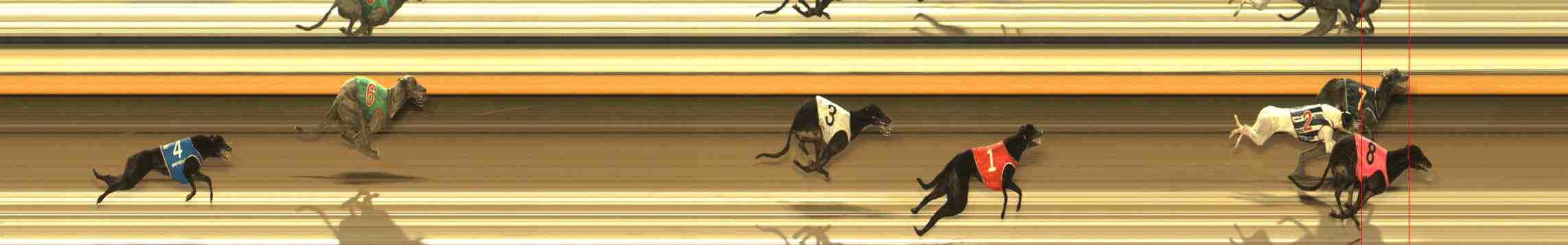 Photo finish for Warrnambool Race 13