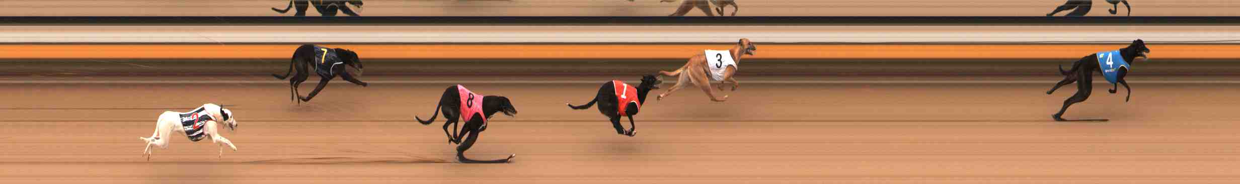 Photo finish for Warrnambool Race 1