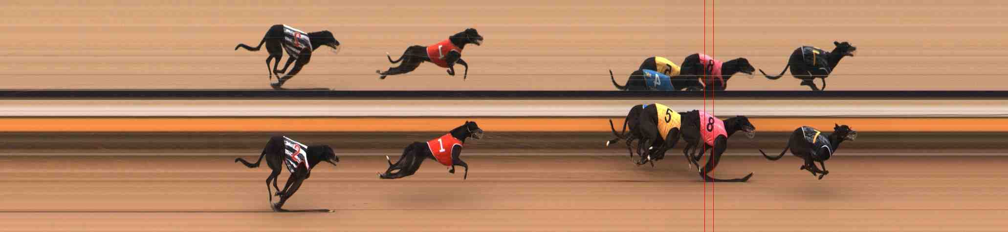 Photo finish for Warrnambool Race 2