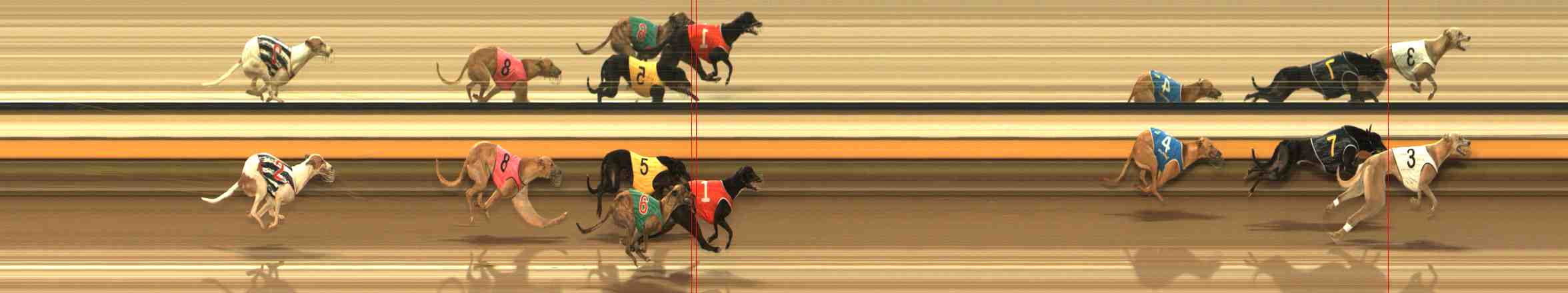 Photo finish for Warrnambool Race 3