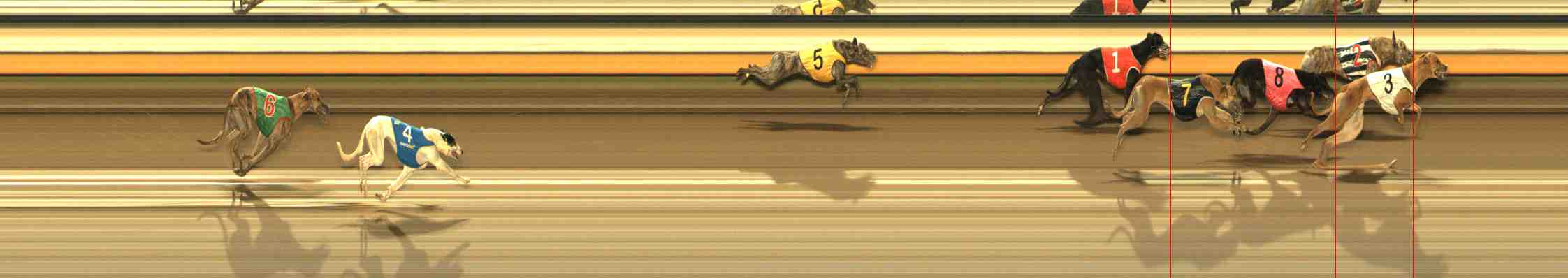 Photo finish for Warrnambool Race 4