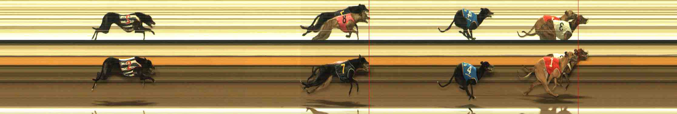 Photo finish for Warrnambool Race 5