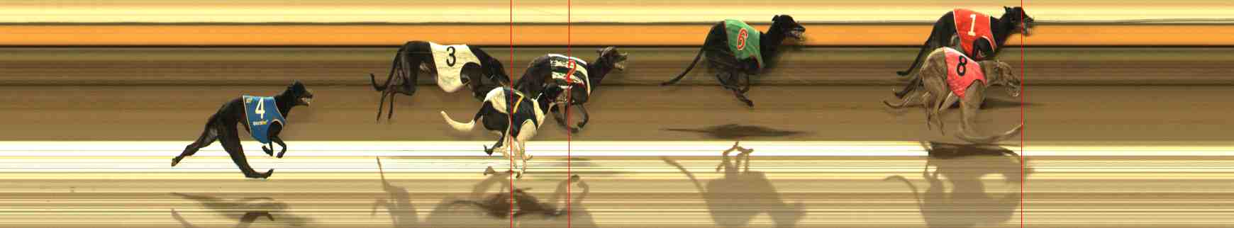 Photo finish for Warrnambool Race 6
