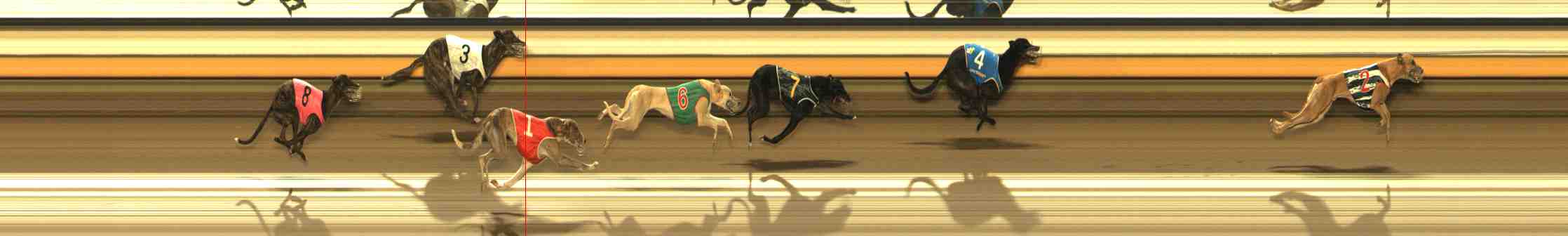 Photo finish for Warrnambool Race 7