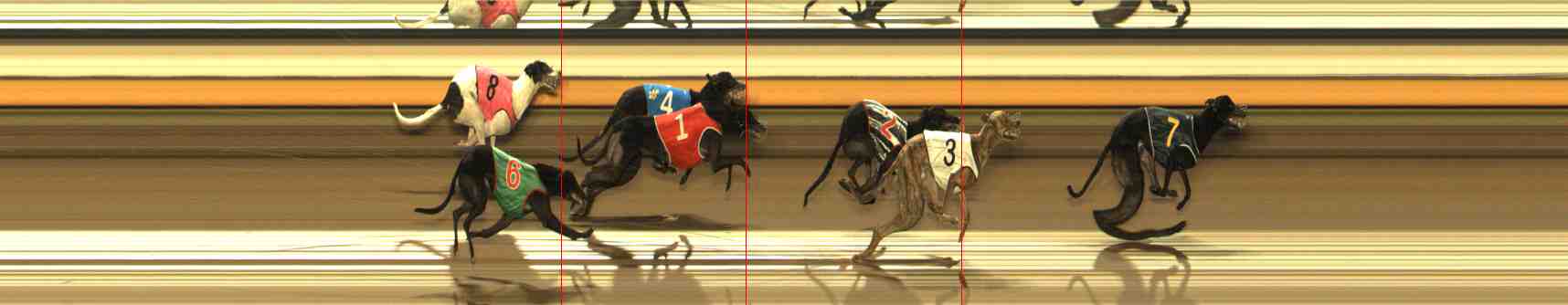 Photo finish for Warrnambool Race 8