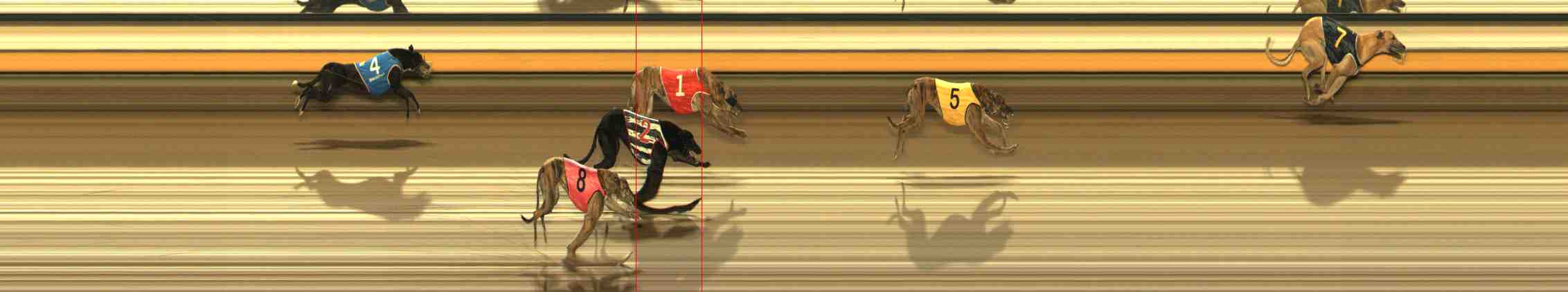 Photo finish for Warrnambool Race 9