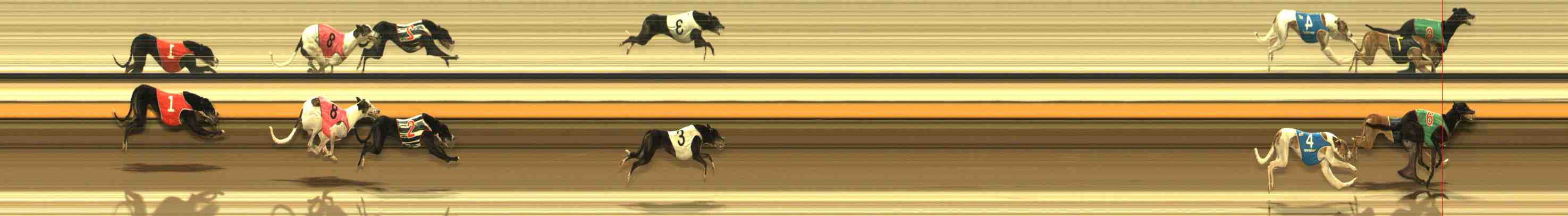Photo finish for Warrnambool Race 10