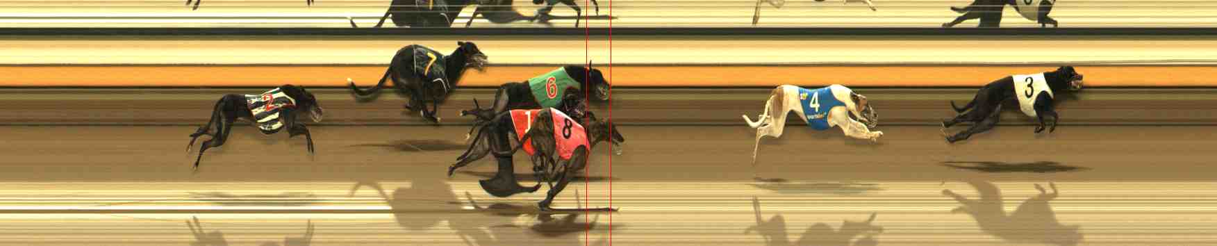 Photo finish for Warrnambool Race 11