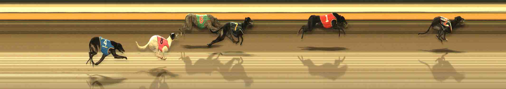Photo finish for Warrnambool Race 12