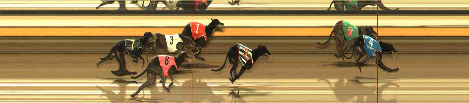 Photo finish for Warrnambool Race 13