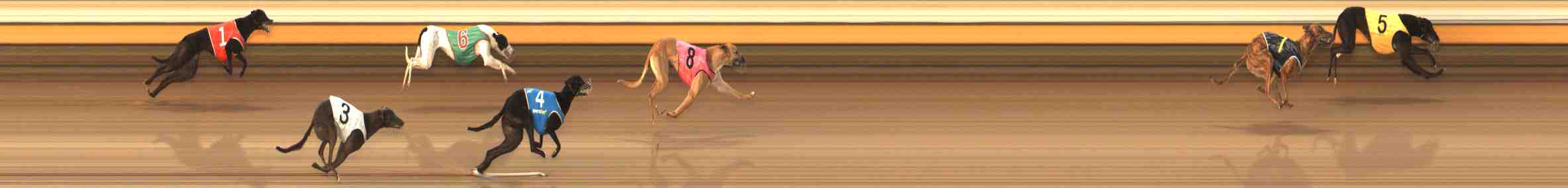 Photo finish for Warrnambool Race 1