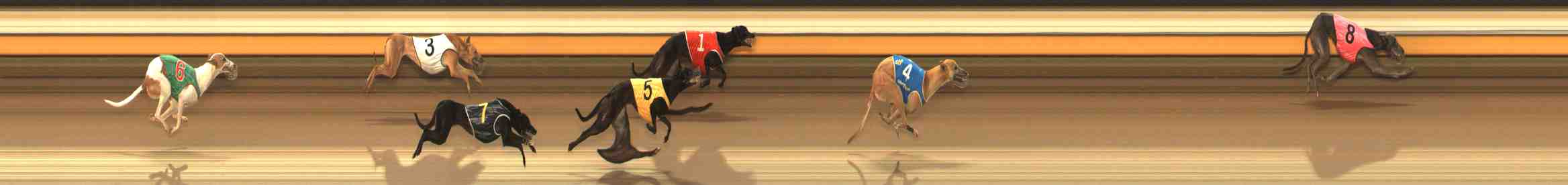 Photo finish for Warrnambool Race 2