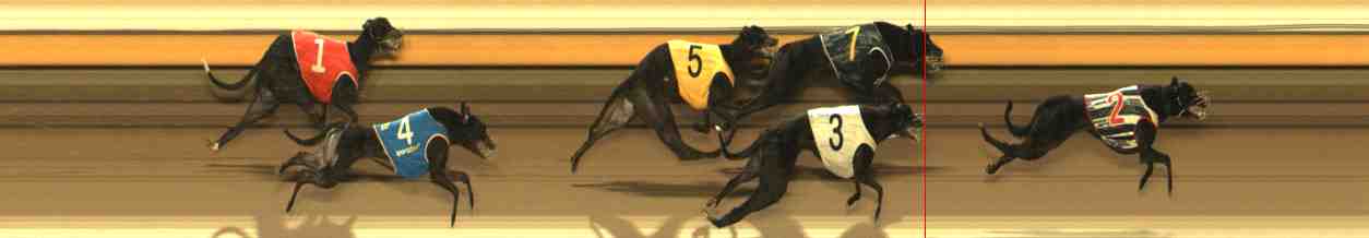 Photo finish for Warrnambool Race 4