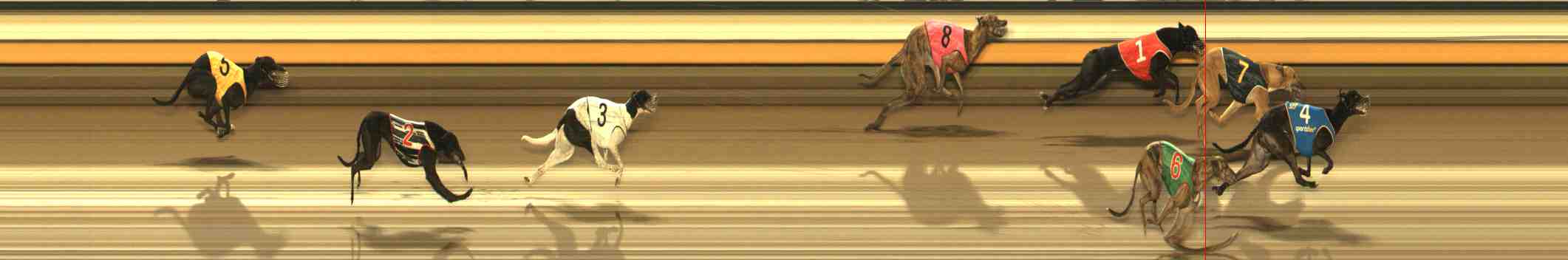 Photo finish for Warrnambool Race 5