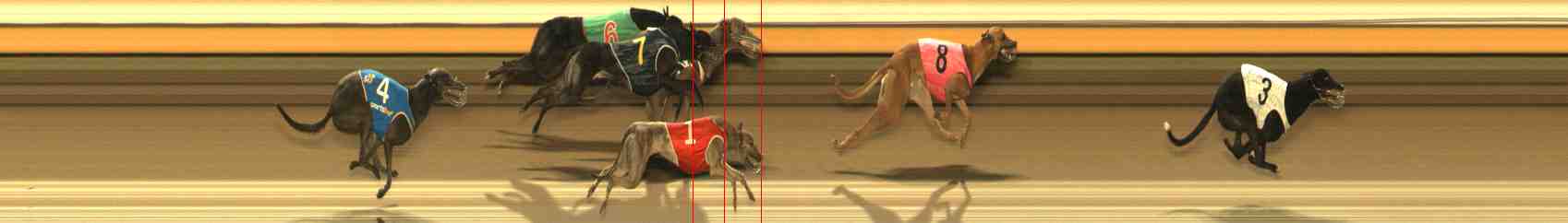 Photo finish for Warrnambool Race 6