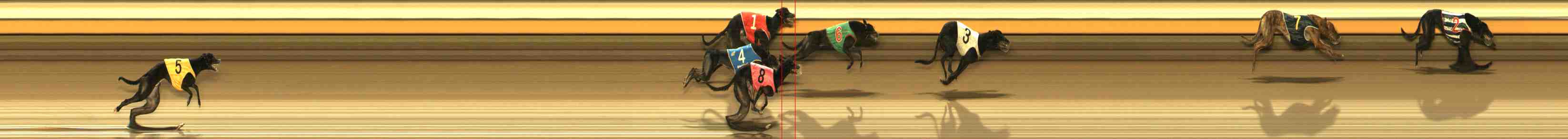 Photo finish for Warrnambool Race 7