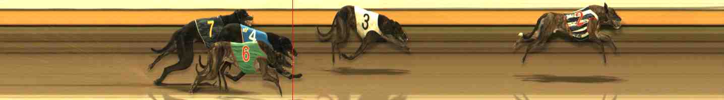 Photo finish for Warrnambool Race 8