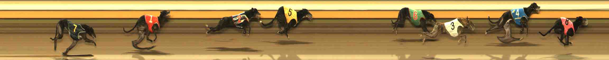 Photo finish for Warrnambool Race 9