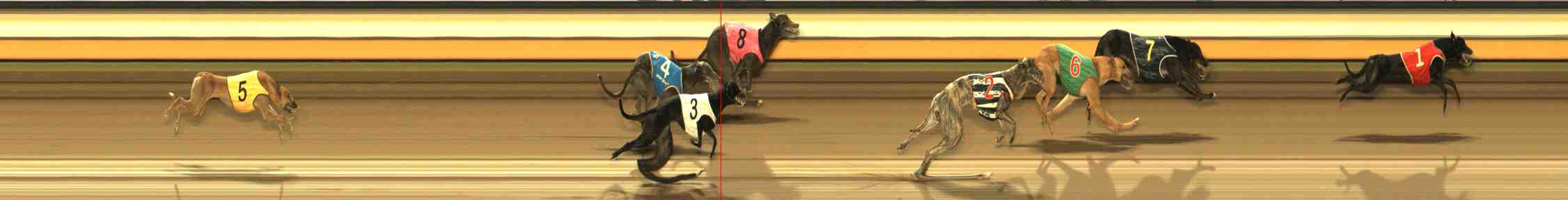Photo finish for Warrnambool Race 10
