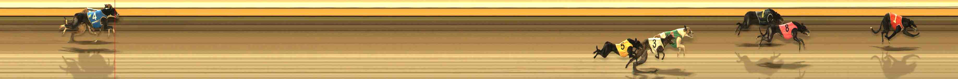 Photo finish for Warrnambool Race 11