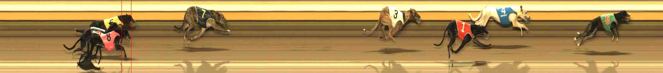 Photo finish for Warrnambool Race 12