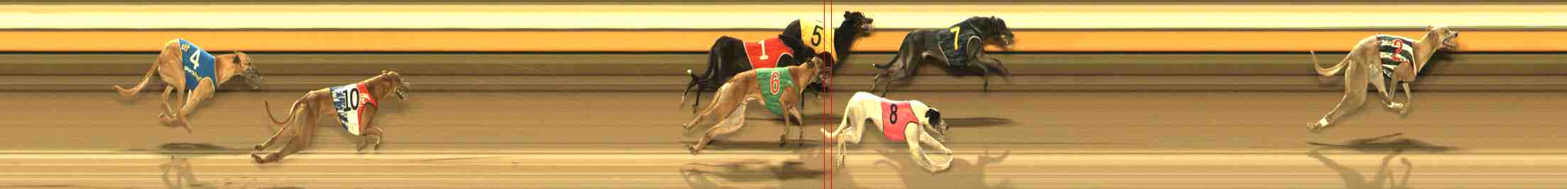 Photo finish for Warrnambool Race 13