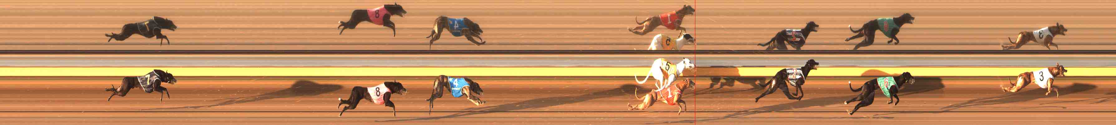 Photo finish for Warrnambool Race 1