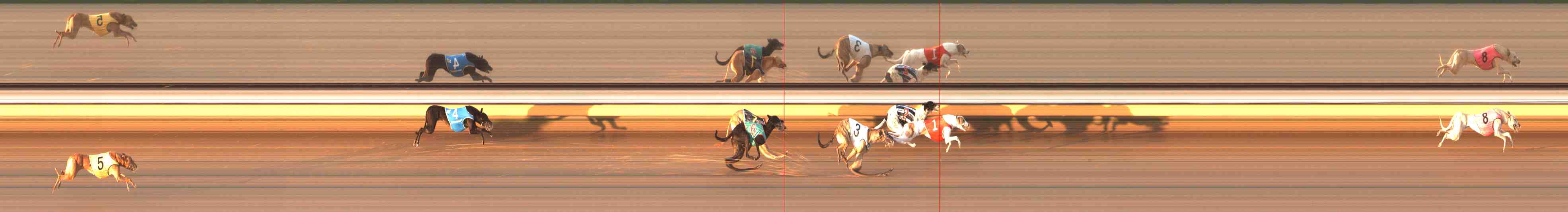 Photo finish for Warrnambool Race 2