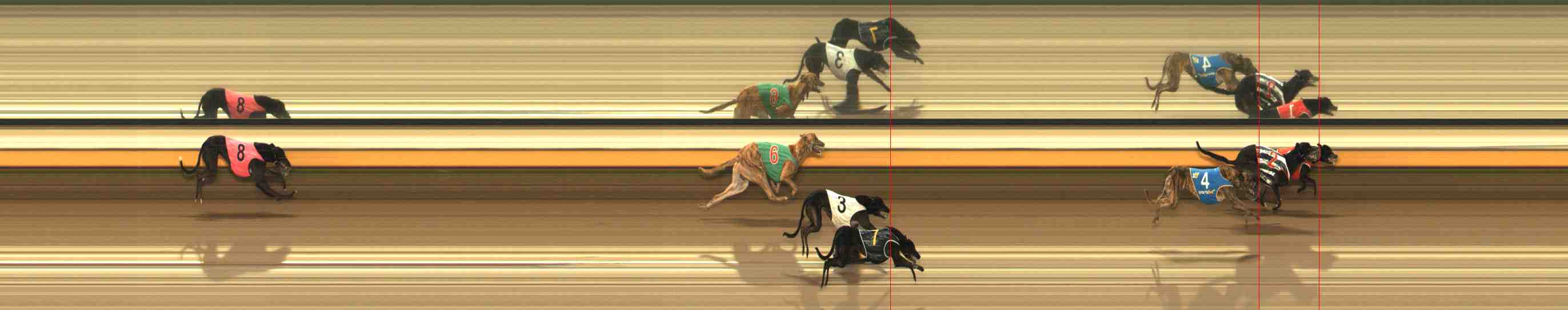 Photo finish for Warrnambool Race 3